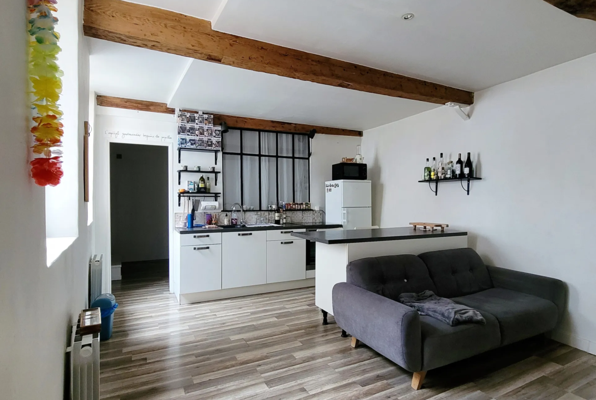 À vendre : Appartement T2 rénové de 44 m² au centre-ville de Trévoux 