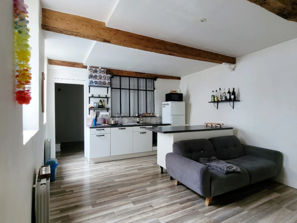 À vendre : Appartement T2 rénové de 44 m² au centre-ville de Trévoux