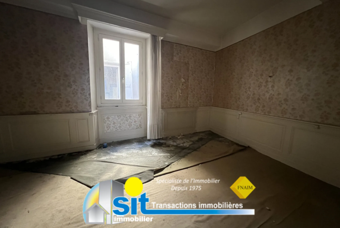 Grand Appartement Divisible à Vienne - Opportunité Investisseur 