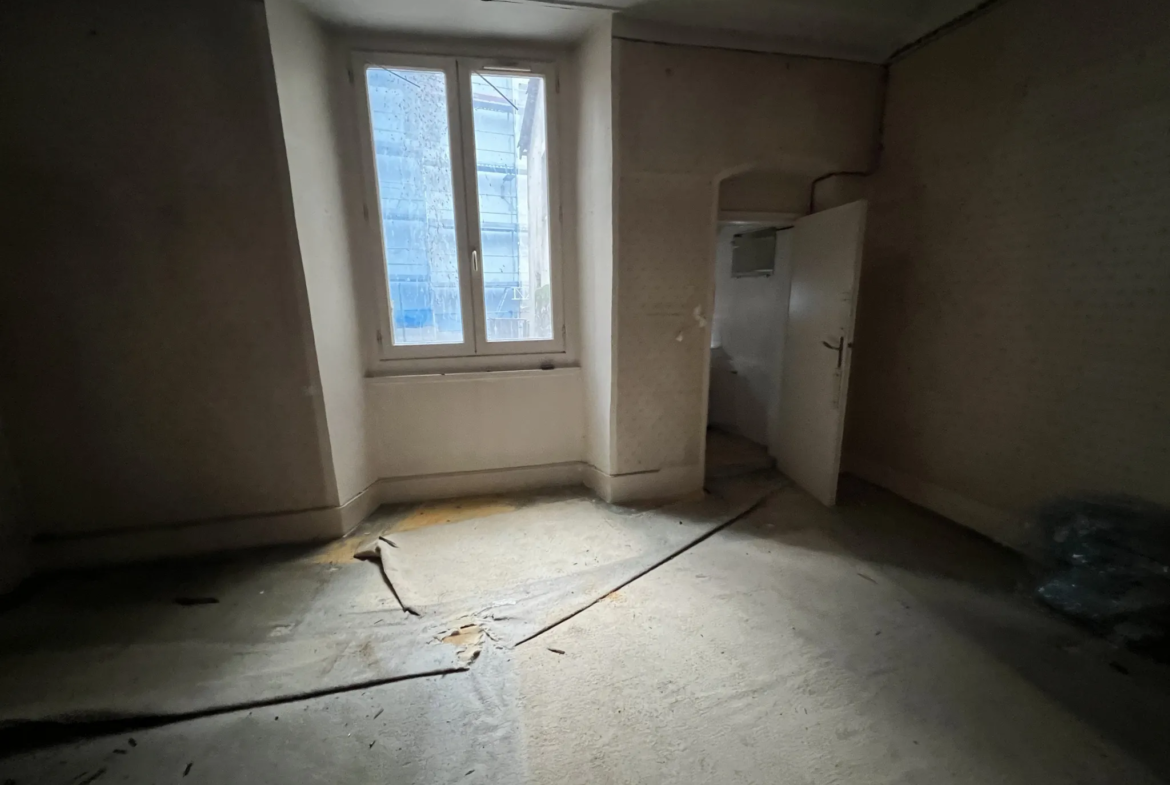 Vente d'un grand appartement divisible à VIENNE 