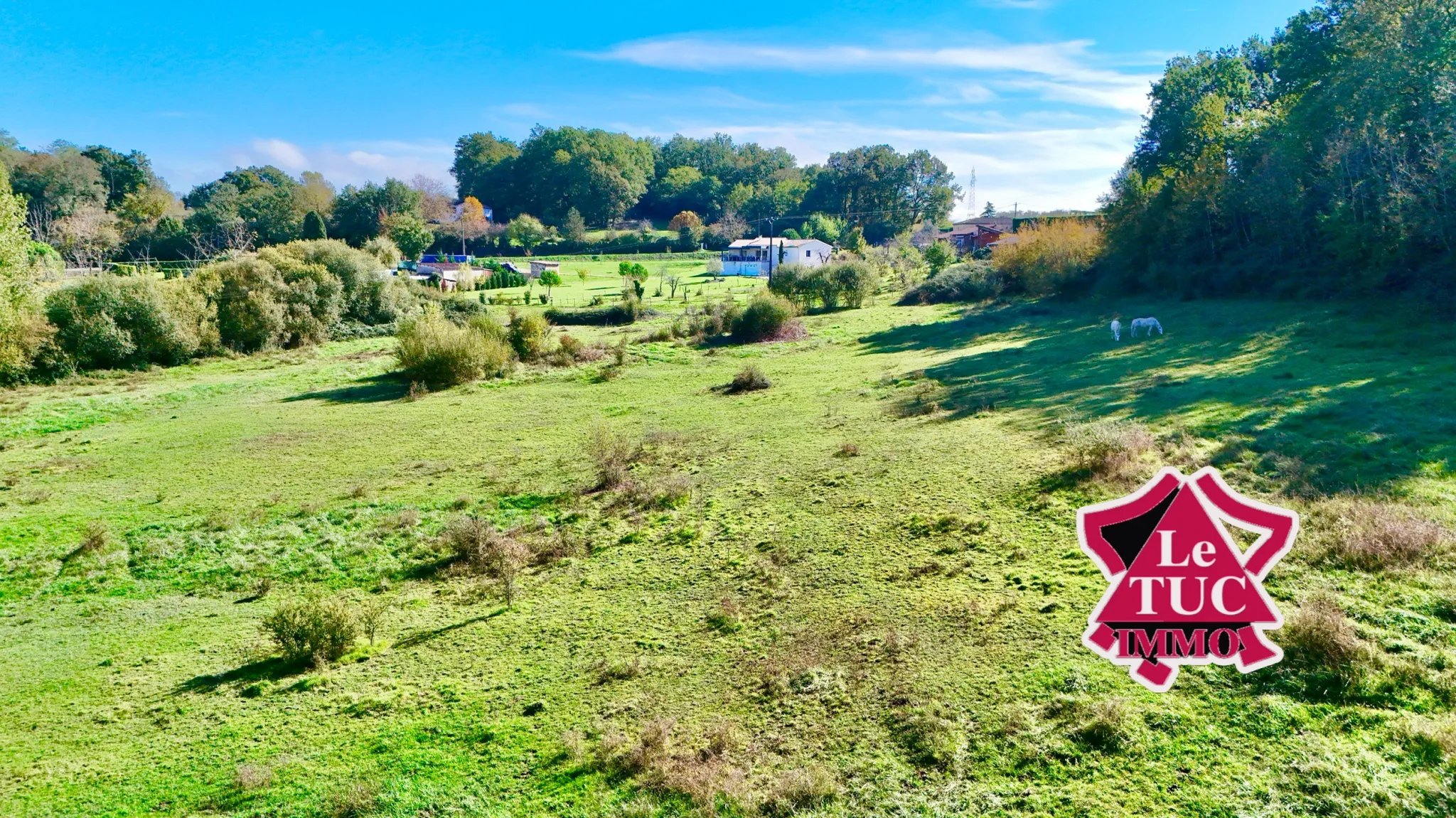 Maison écologique 2 chambres à Villeneuve-sur-Lot avec 3,5 ha de terrain et piscine naturelle 