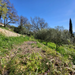 Terrain constructible viabilisé à Pierrefeu du Var à vendre