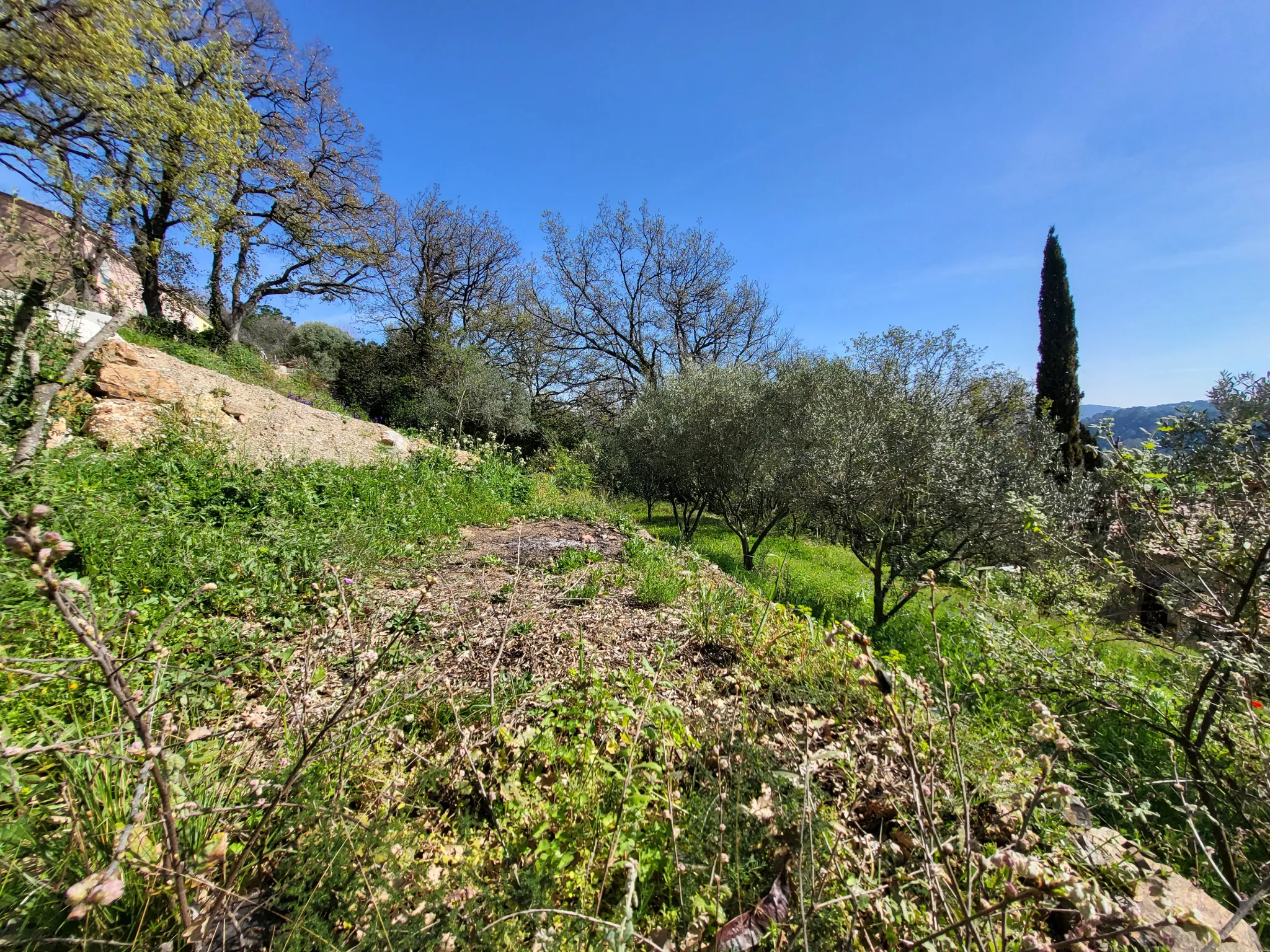 Terrain constructible viabilisé à Pierrefeu du Var à vendre 