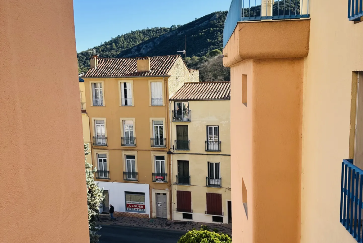 APPARTEMENT F2 AVEC TERRASSE ET GARAGE PROCHE DES THERMES - AMÉLIE LES BAINS 