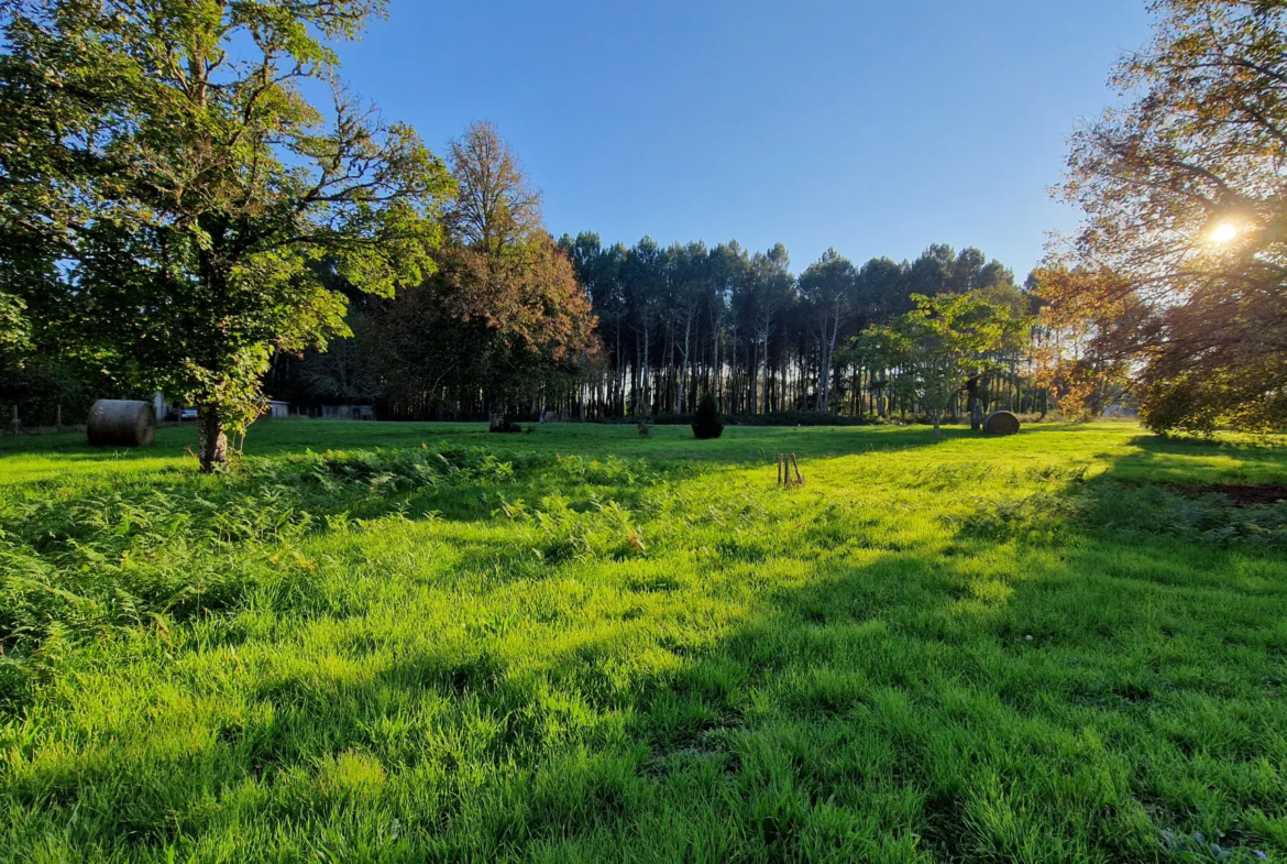 Terrain à bâtir de 1600 m2 à Uzeste 