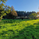 Terrain à bâtir de 1600 m2 à Uzeste