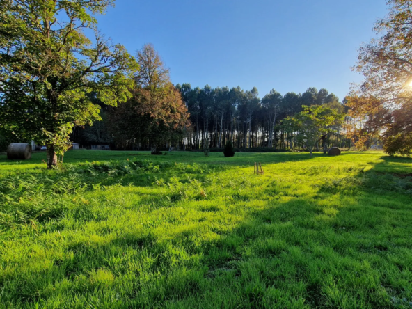 Terrain à bâtir de 1600 m2 à Uzeste