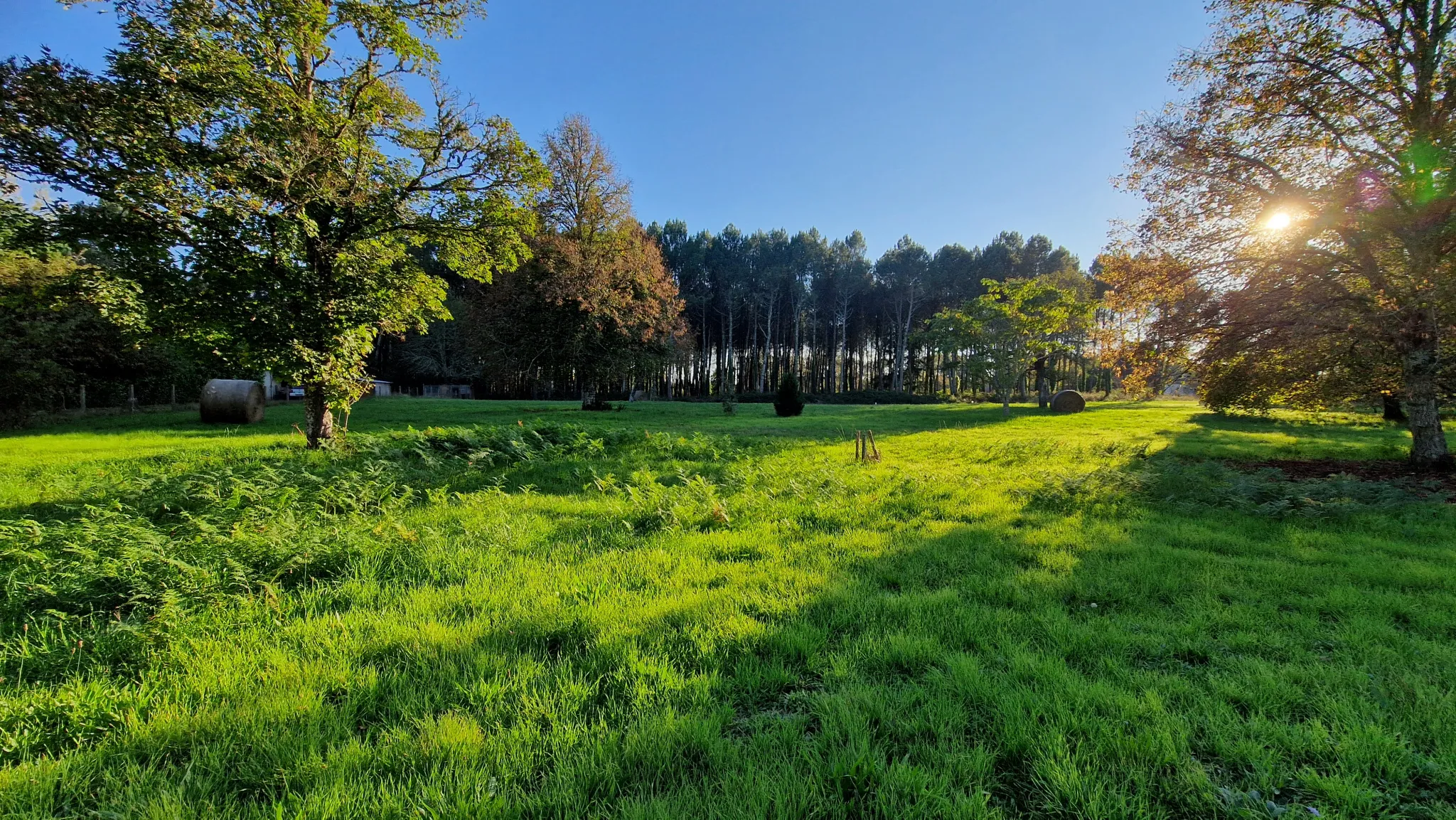 Terrain à bâtir de 1600 m2 à Uzeste 