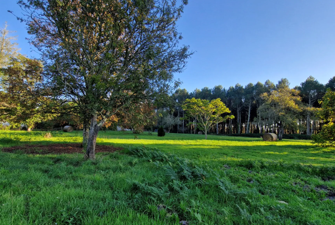 Terrain à bâtir de 1600 m2 à Uzeste 