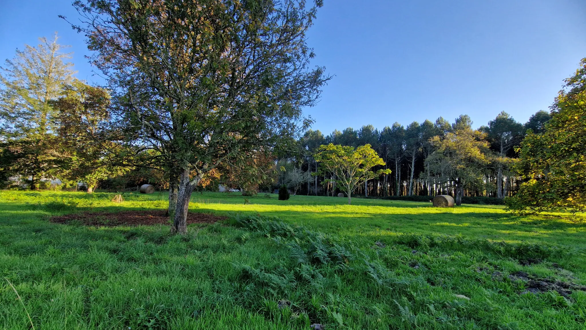 Terrain à bâtir de 1600 m2 à Uzeste 