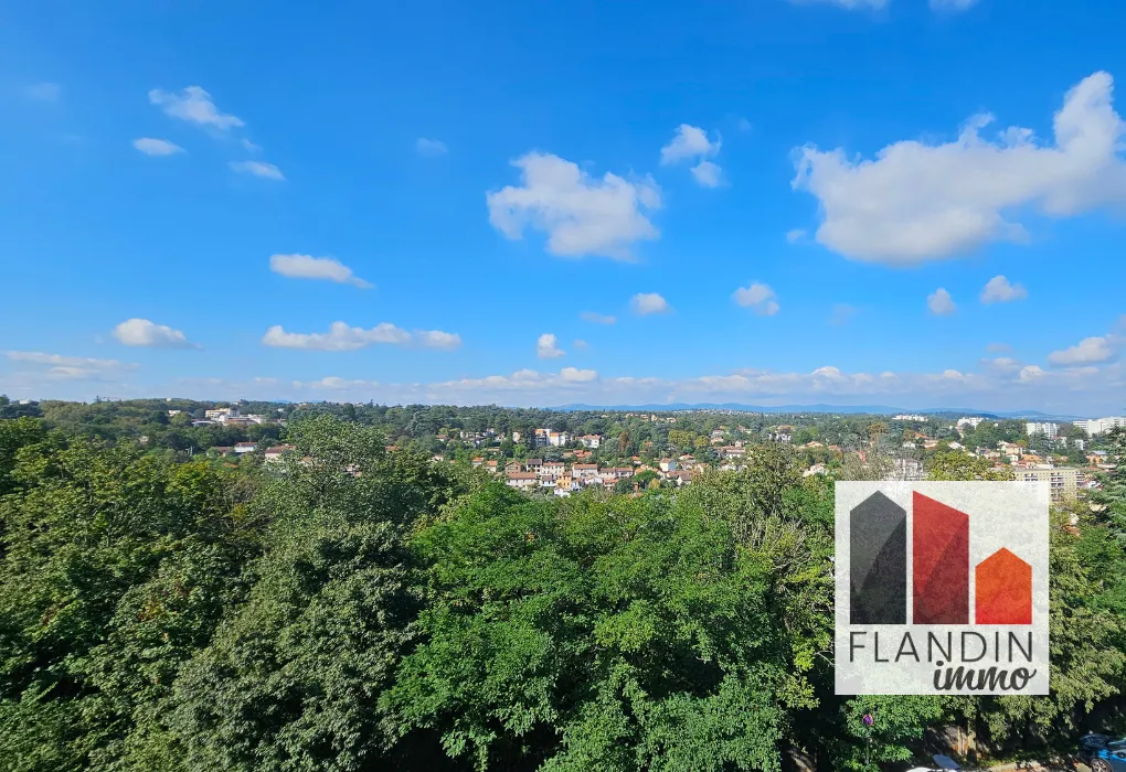 Bel appartement T4 avec vue sur les hauteurs d'Oullins 