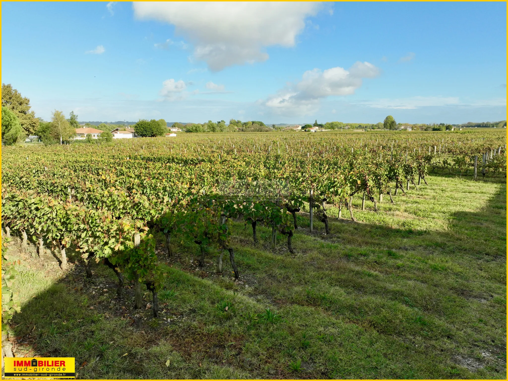 Terrain à bâtir avec vue dégagée sur les vignes à Portets 