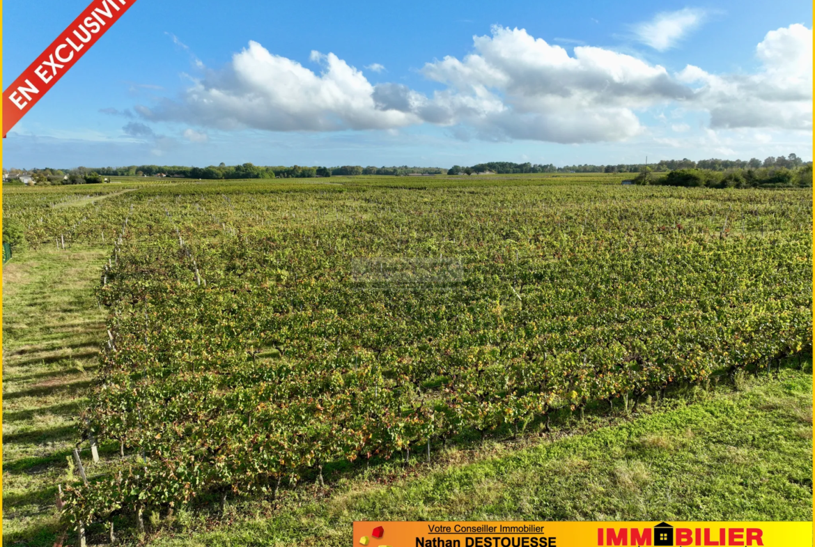 Terrain à bâtir avec vue dégagée sur les vignes à Portets 