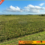 Terrain à bâtir avec vue dégagée sur les vignes à Portets