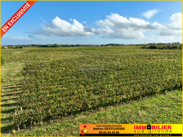 Terrain à bâtir avec vue dégagée sur les vignes à Portets