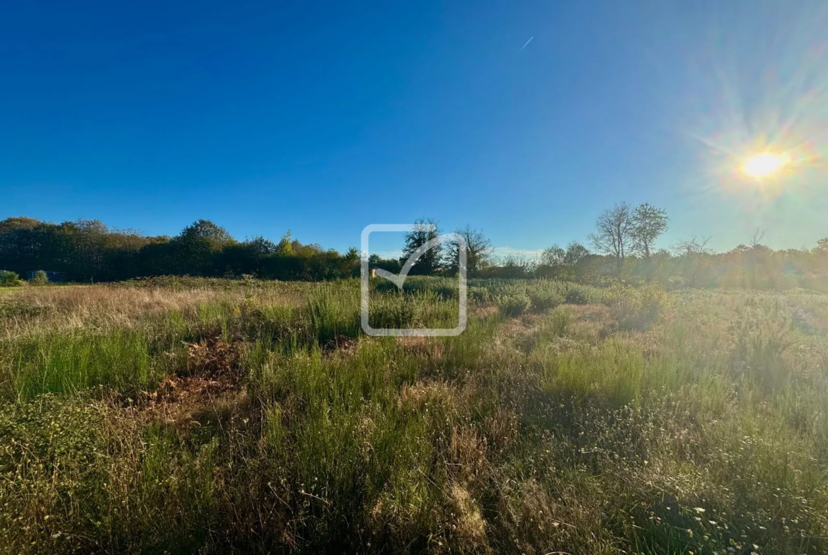 Terrain constructible de 1960 m² à La Chapelle Aubareil 