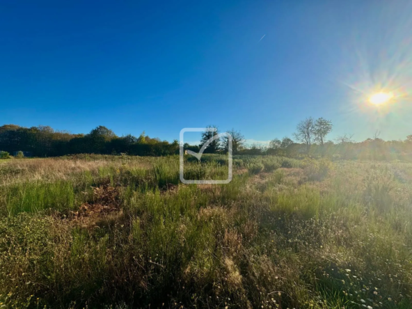 Terrain constructible de 1960 m² à La Chapelle Aubareil