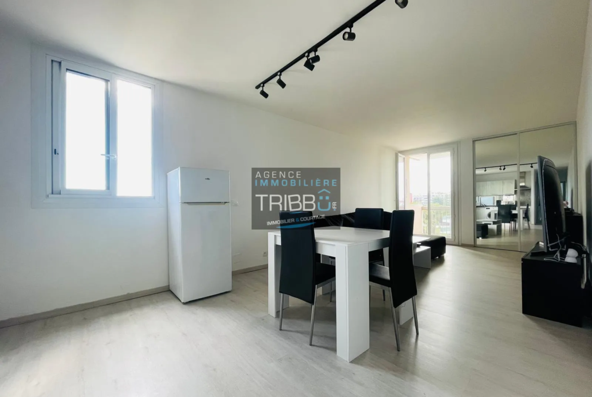 Appartment T2 entièrement rénové à Perpignan 