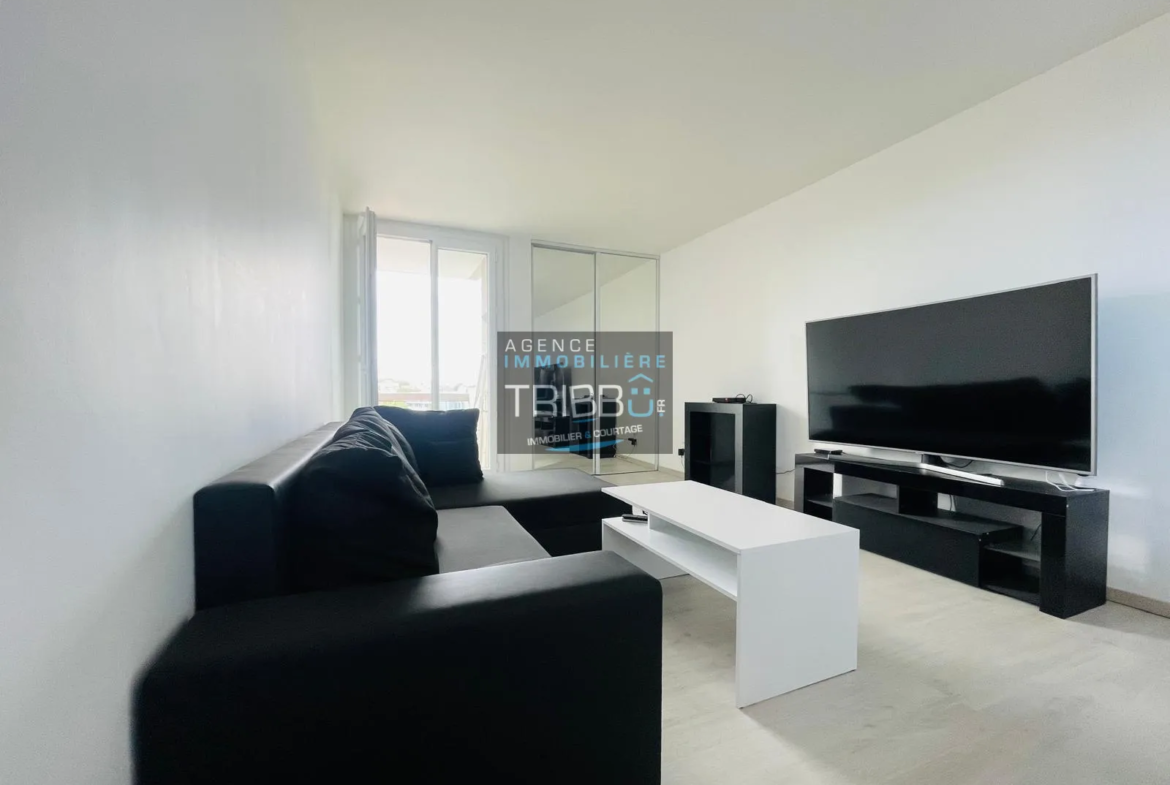 Appartment T2 entièrement rénové à Perpignan 