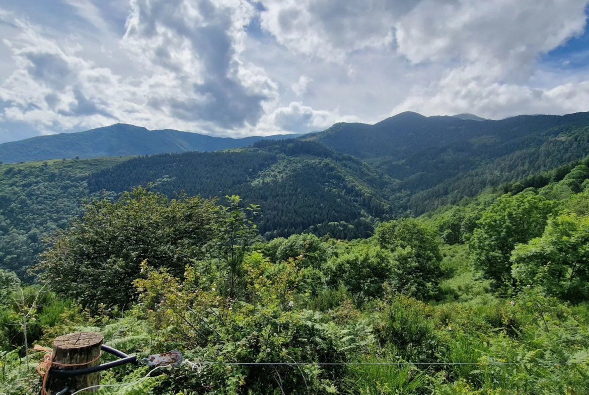 Terrain avec mazet à vendre à Montferrer - 10,9 hectares 