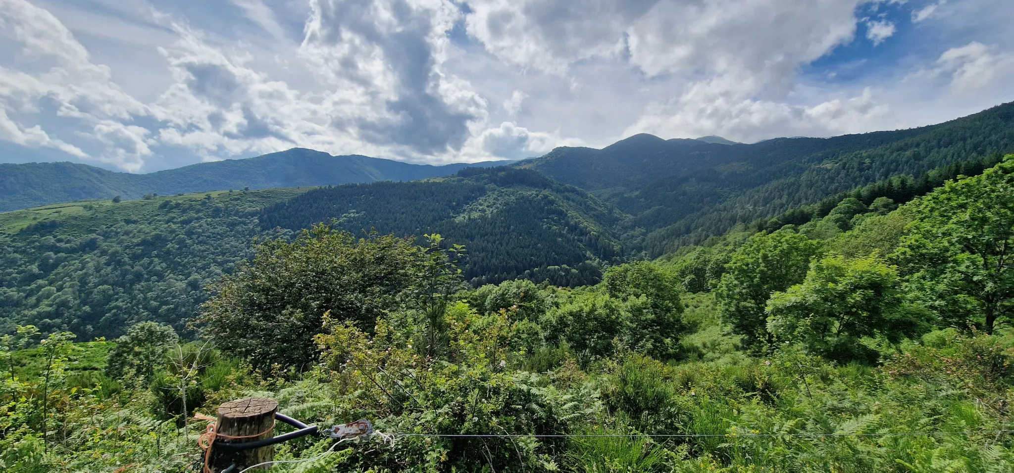 Terrain avec mazet à vendre à Montferrer - 10,9 hectares 