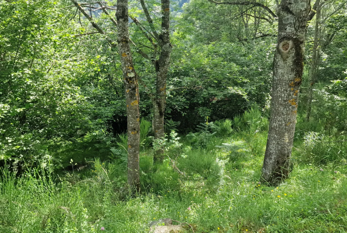 Terrain avec mazet à vendre à Montferrer - 10,9 hectares 