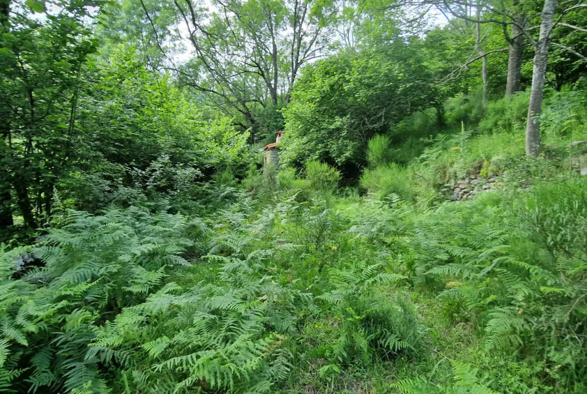 Terrain avec mazet à vendre à Montferrer - 10,9 hectares 