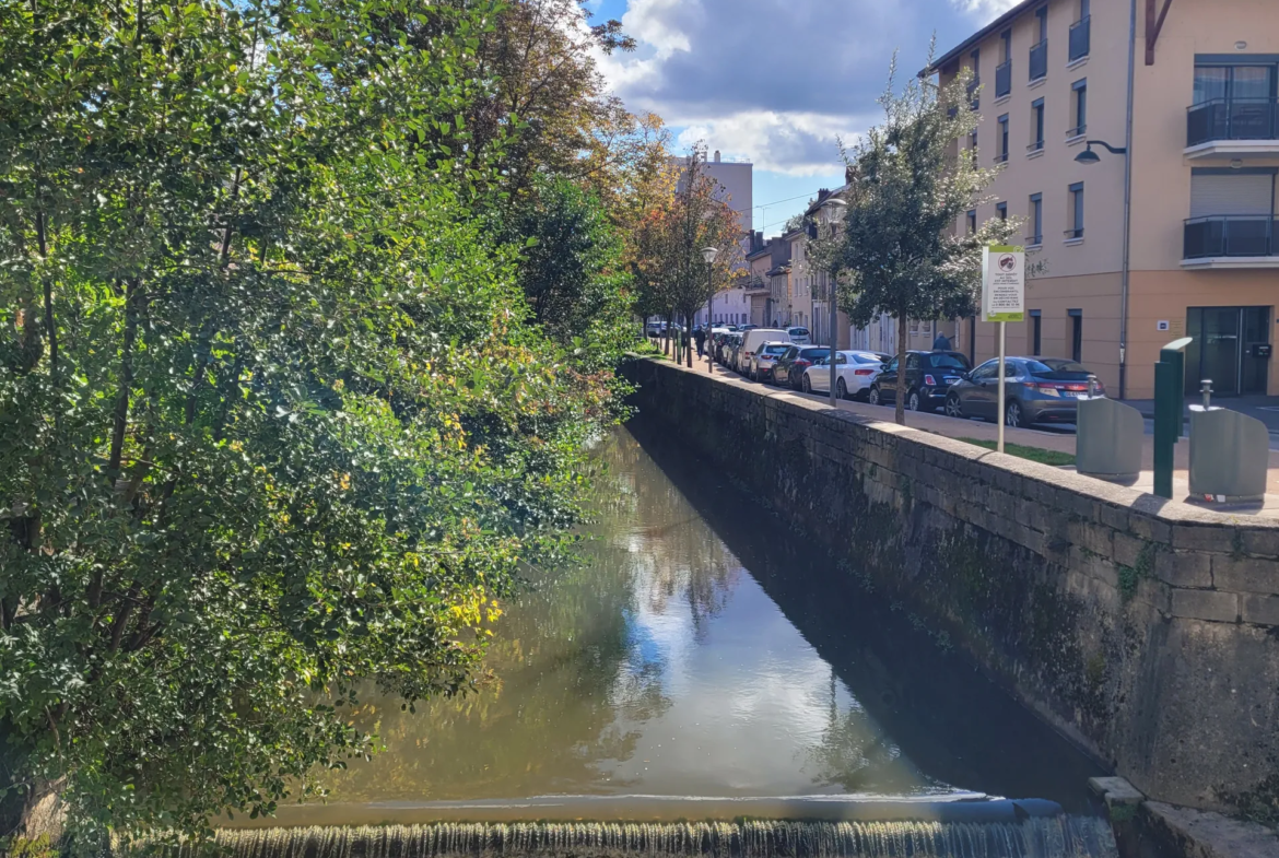 Charmant appartement T3 rénové de 80 m² à Bourg-en-Bresse 