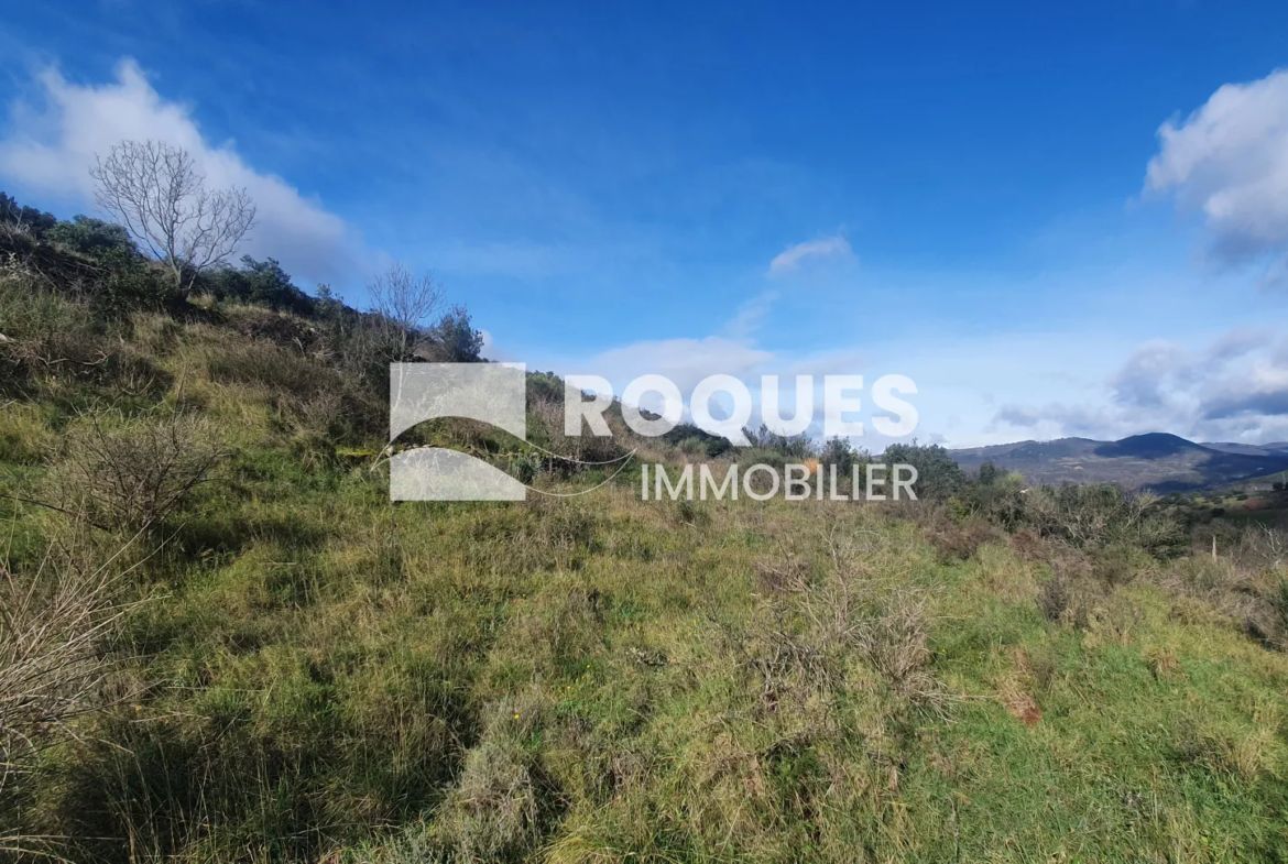 Terrain de Loisirs à Le Puech - Superficie de 1,66 ha 