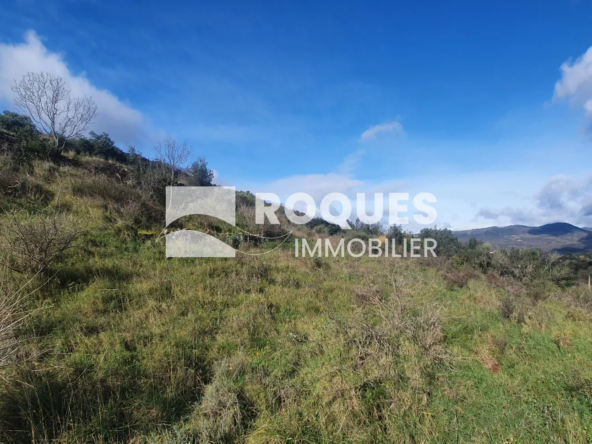 Terrain de Loisirs à Le Puech - Superficie de 1,66 ha