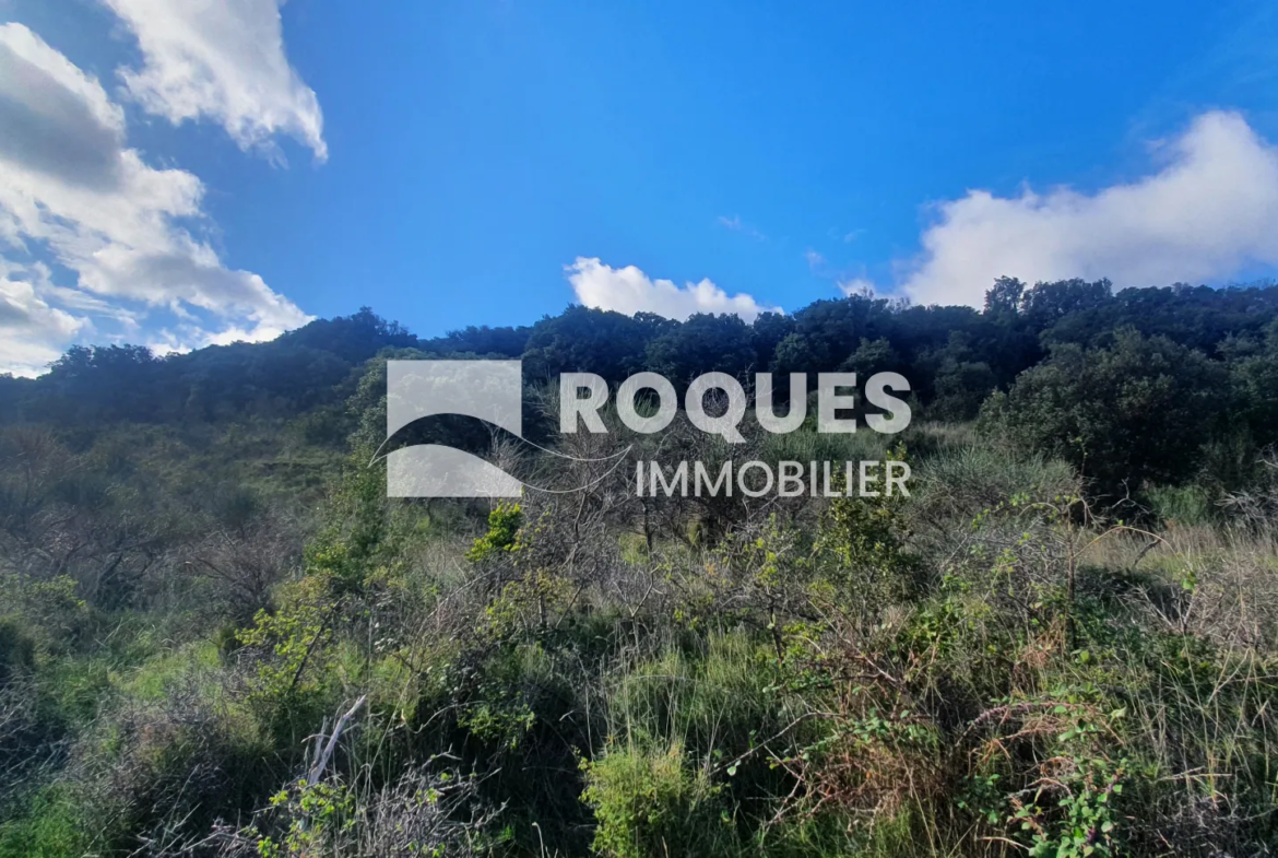 Terrain de Loisirs à Le Puech - Superficie de 1,66 ha 