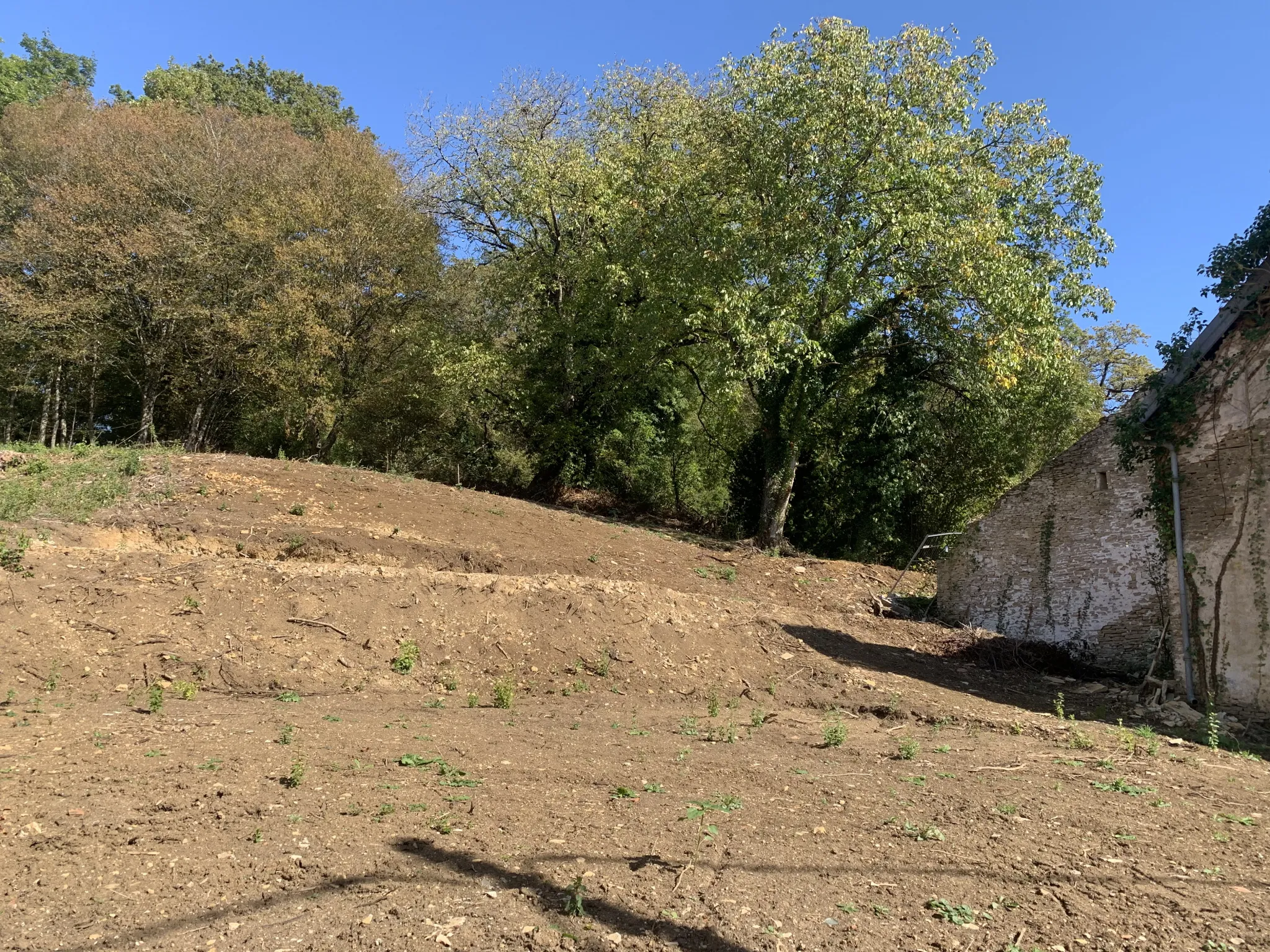 Maison à rénover proche d'HERICOURT sur 15,83 ares 