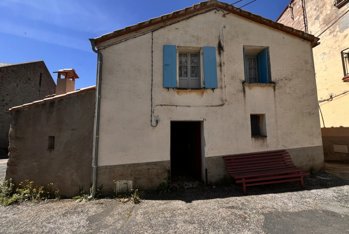 Maison de village à Coustouges avec garage et parcelles de forêt 