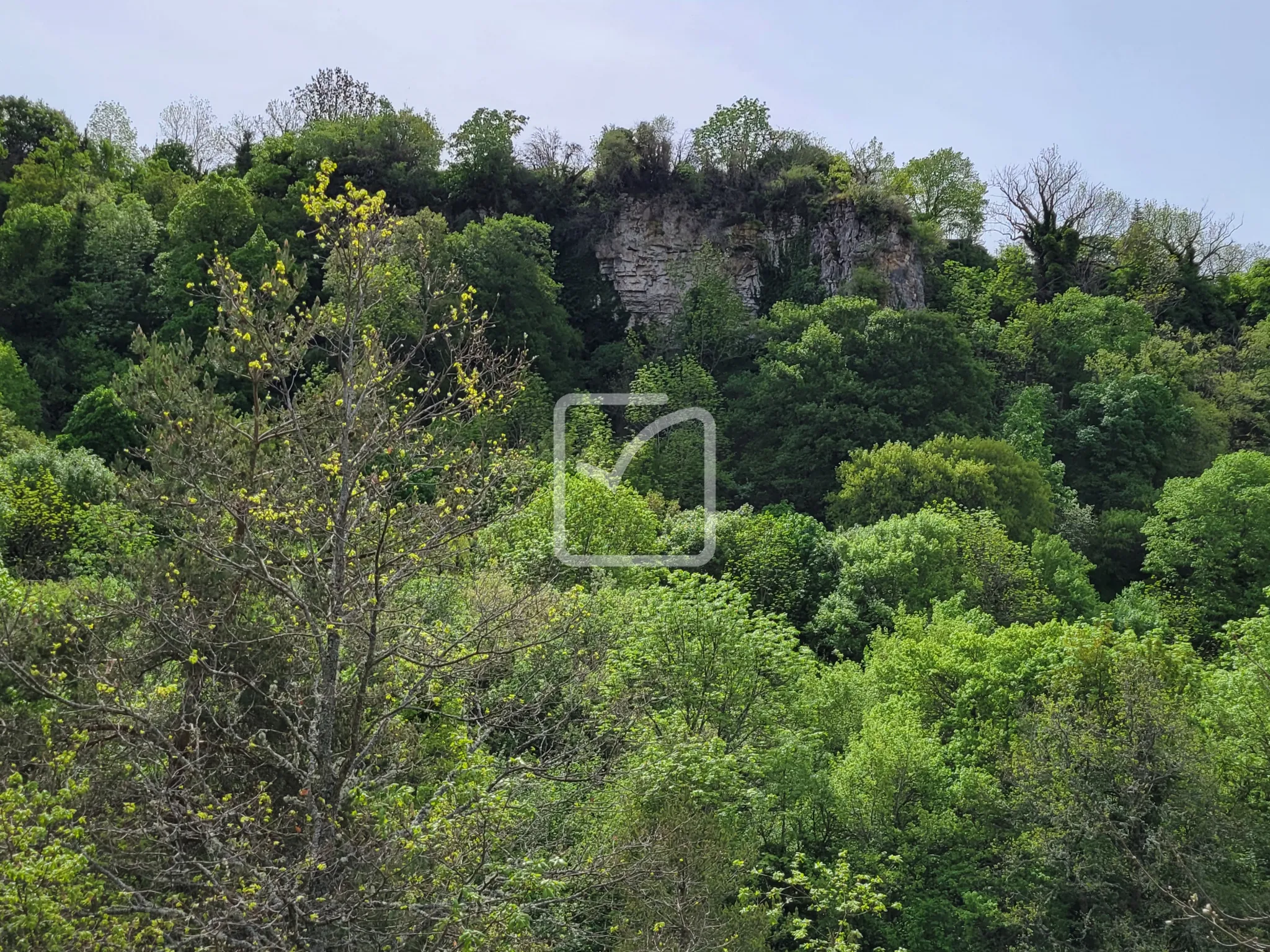 Terrain constructible avec grange et bois à Plan de Baix à vendre 