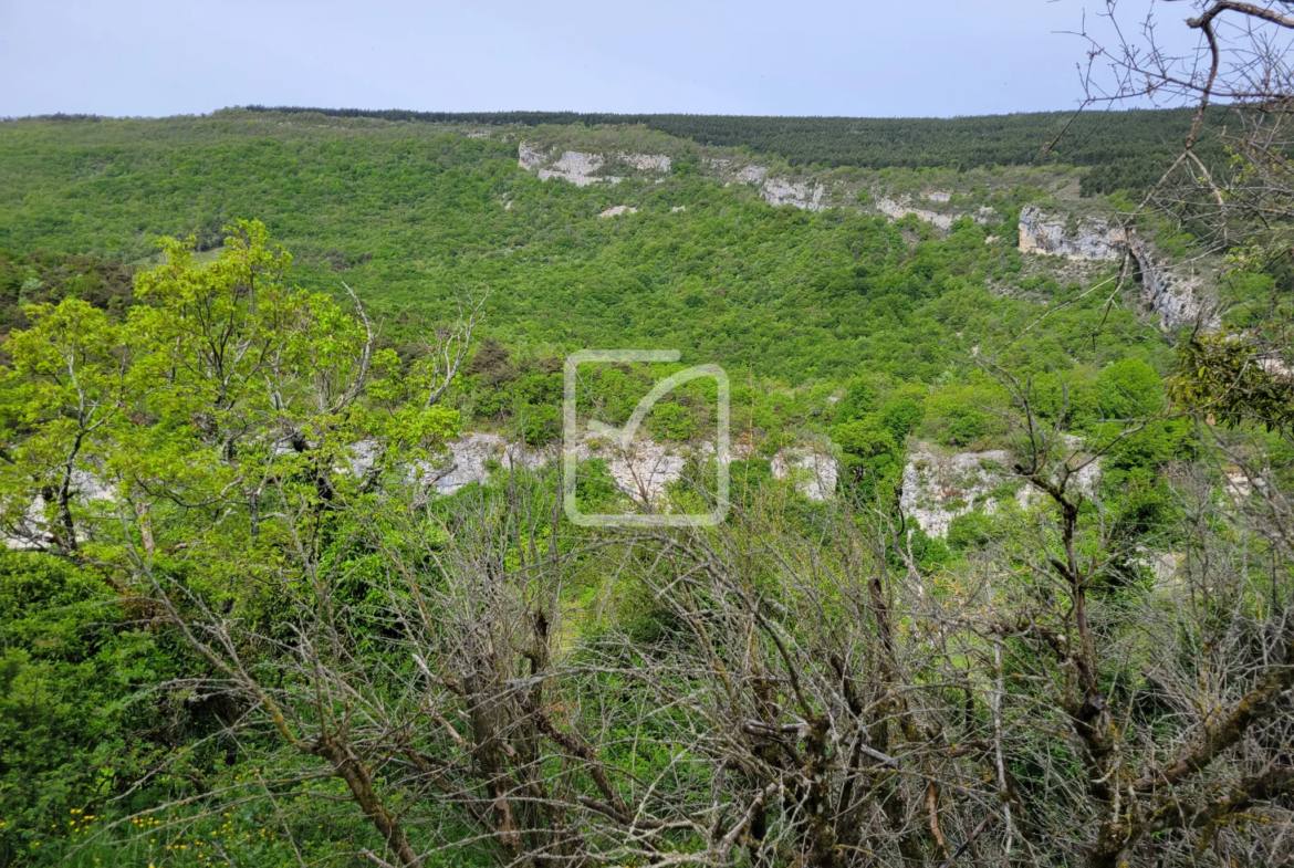 Terrain constructible avec grange et bois à Plan de Baix à vendre 