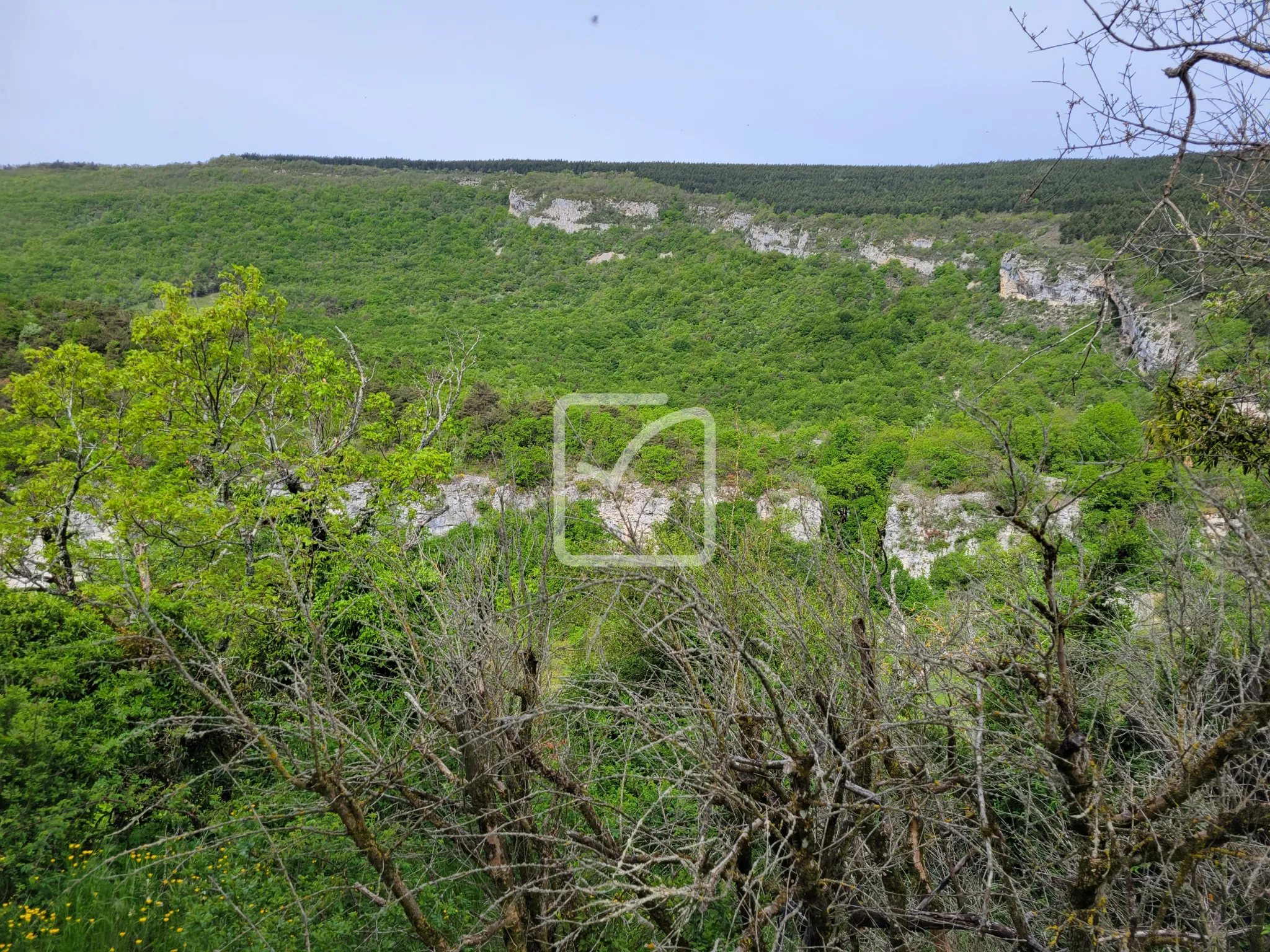 Terrain constructible avec grange et bois à Plan de Baix à vendre 