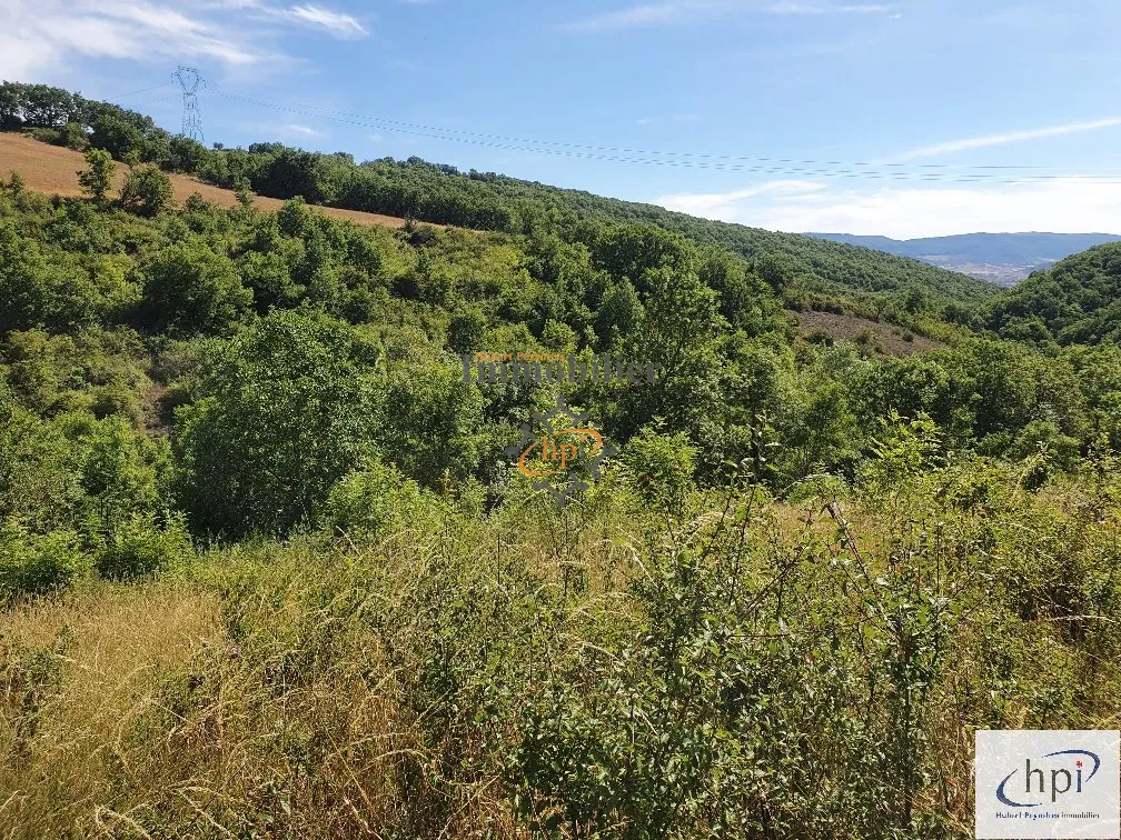 Terrain de loisir à vendre à Saint Affrique, 10 135 m² avec maison de vigne 