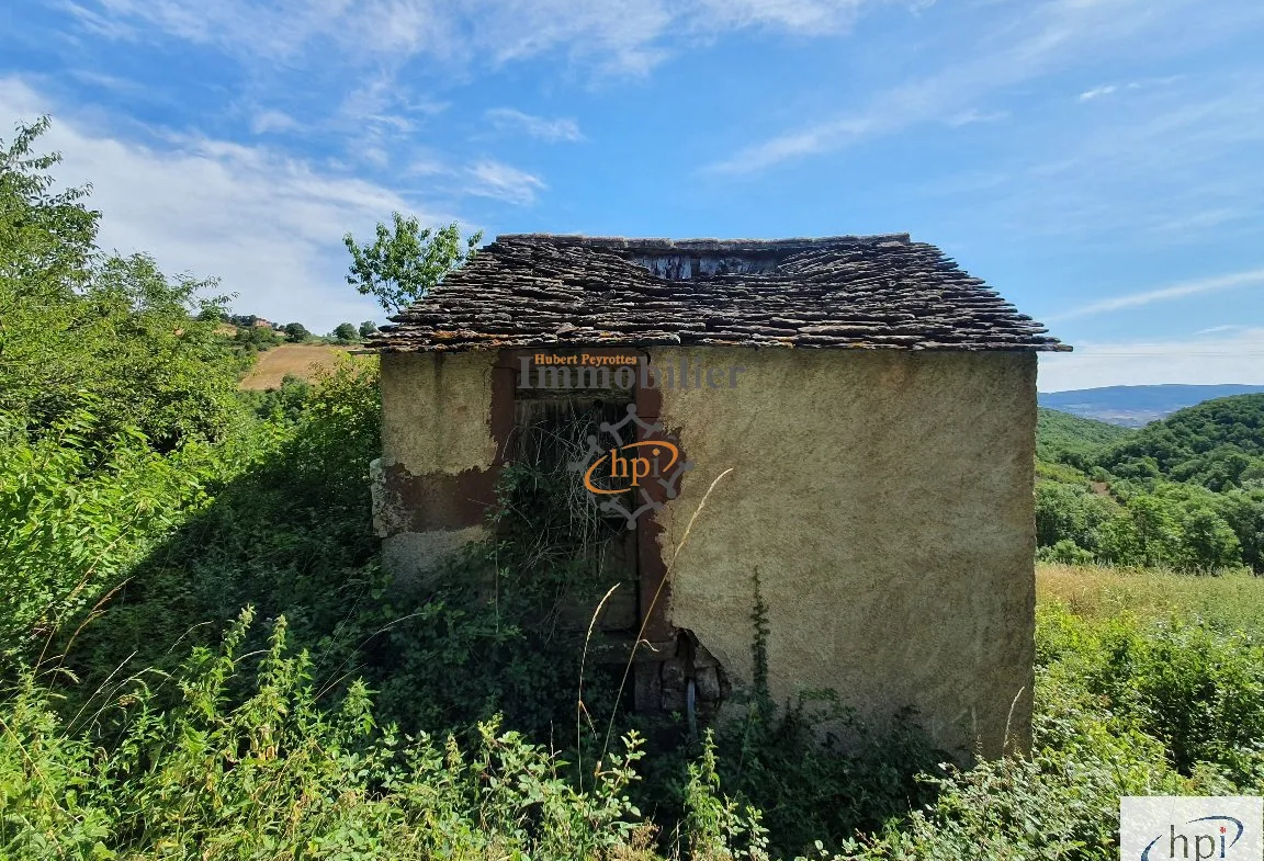 Terrain de loisir à vendre à Saint Affrique, 10 135 m² avec maison de vigne 