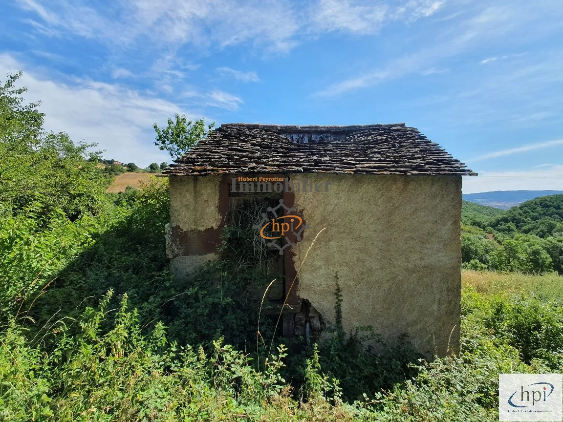 Terrain de loisir à vendre à Saint Affrique, 10 135 m² avec maison de vigne 