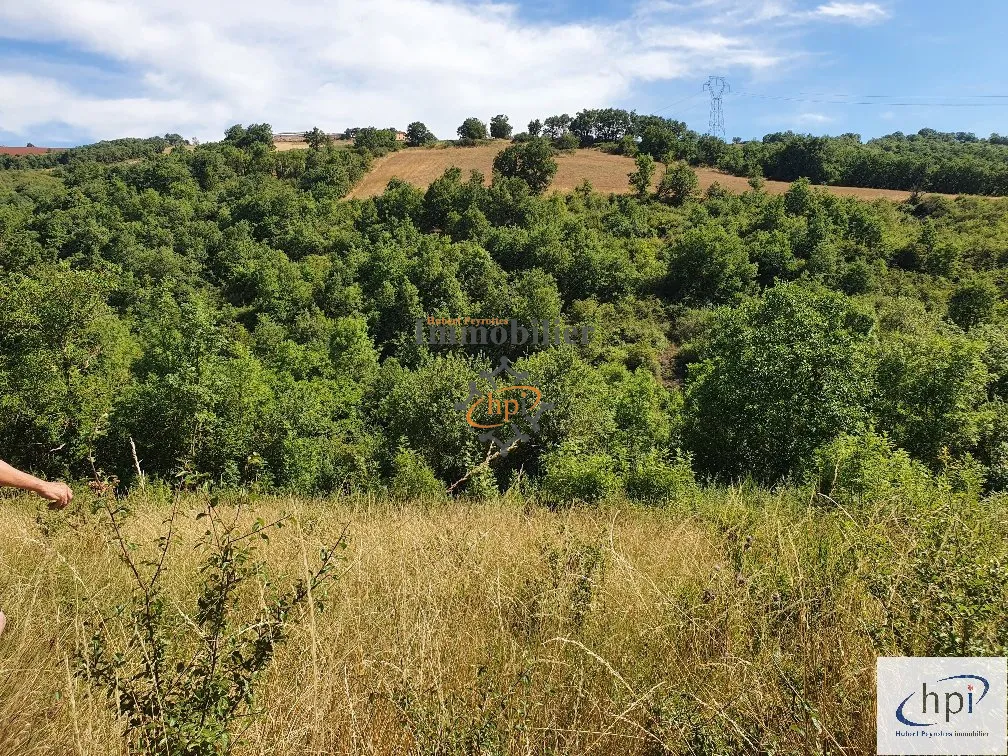 Terrain de loisir à vendre à Saint Affrique, 10 135 m² avec maison de vigne 