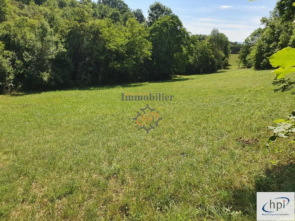 Terrain de loisir à vendre à Saint Affrique, 10 135 m² avec maison de vigne 