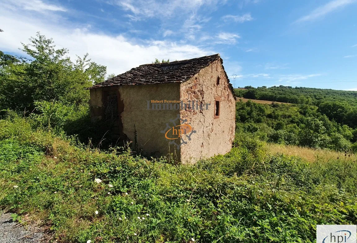 Terrain de loisir à vendre à Saint Affrique, 10 135 m² avec maison de vigne 