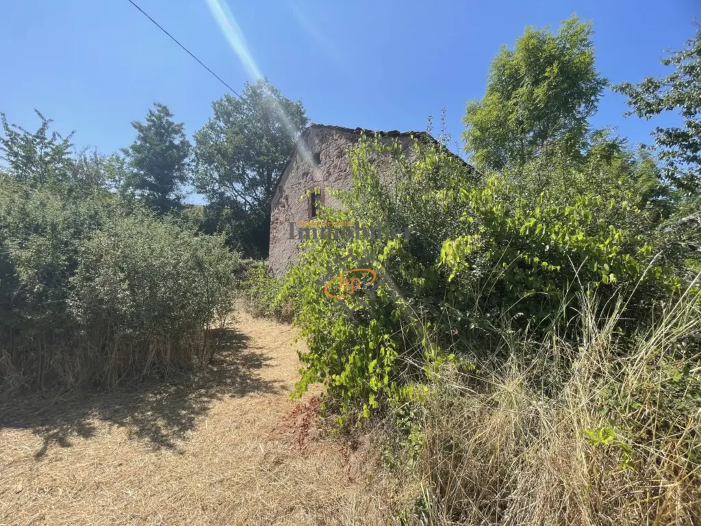 Terrain de loisir à vendre à Saint Affrique, 10 135 m² avec maison de vigne