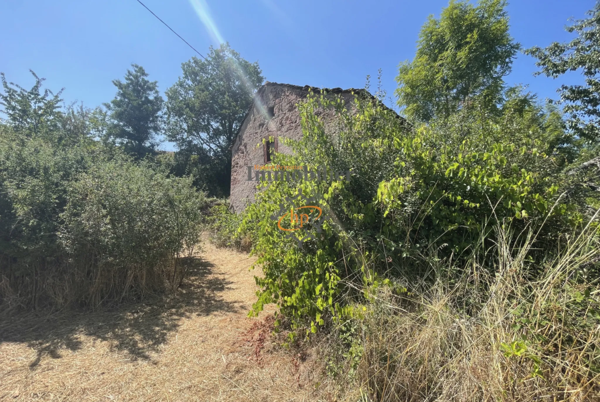 Terrain de loisir à vendre à Saint Affrique, 10 135 m² avec maison de vigne 