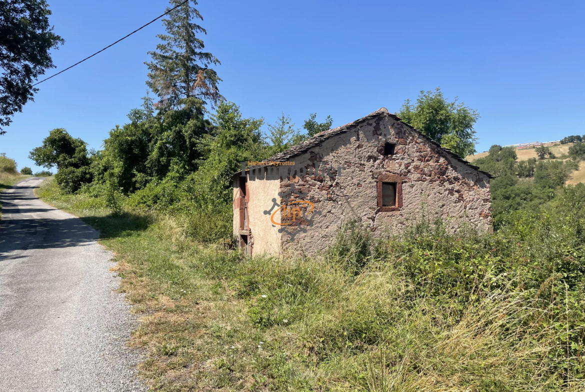 Terrain de loisir à vendre à Saint Affrique, 10 135 m² avec maison de vigne 