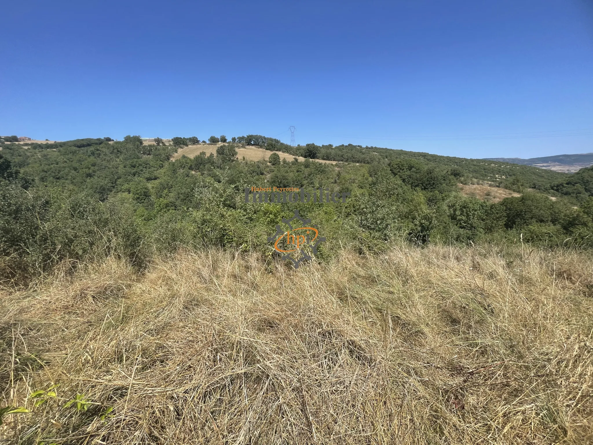 Terrain de loisir à vendre à Saint Affrique, 10 135 m² avec maison de vigne 