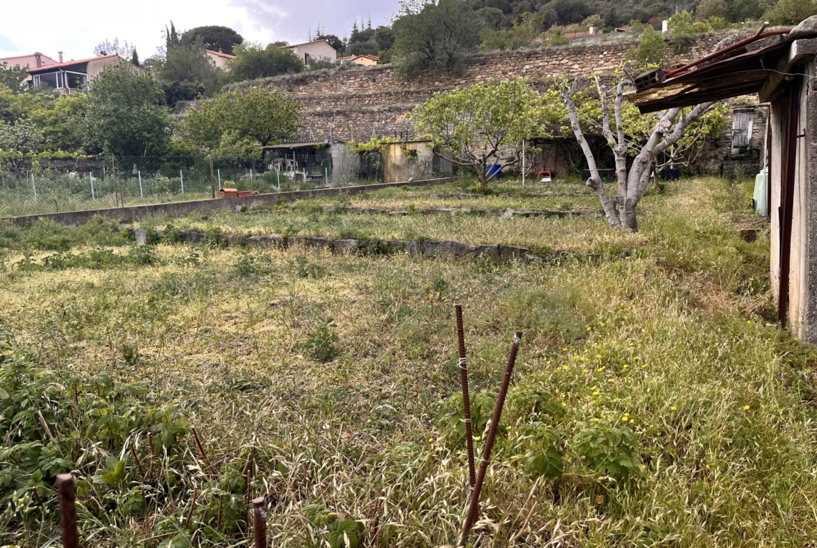 Maison F5 traversante à vendre à Arles sur Tech 