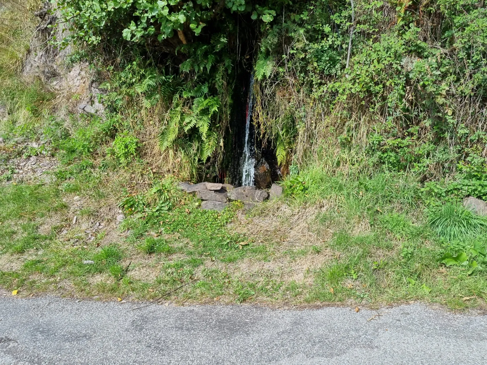 Superbe Terrain de Loisir aux Adrets, Proche de Belvédère à Vendre 