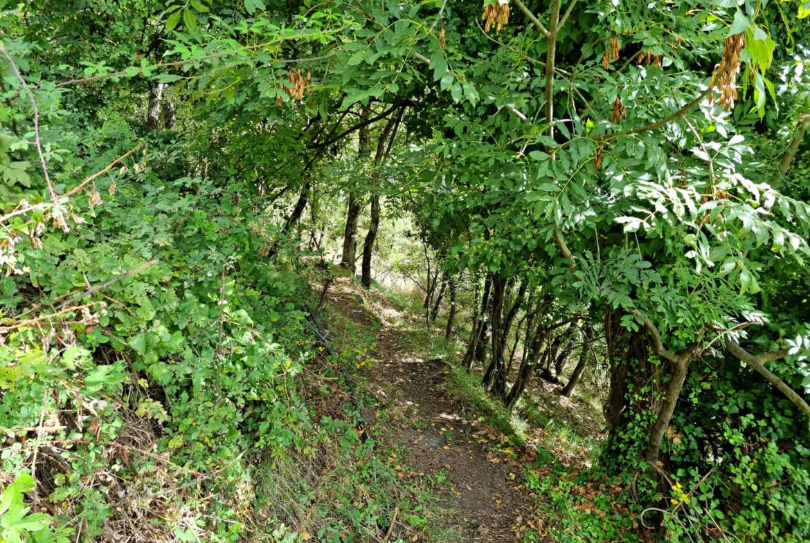 Superbe Terrain de Loisir aux Adrets, Proche de Belvédère à Vendre 