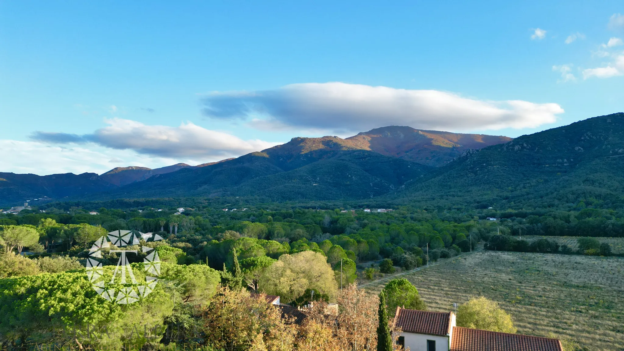 Terrain constructible avec vue sur les Albères à Laroque des Albères 